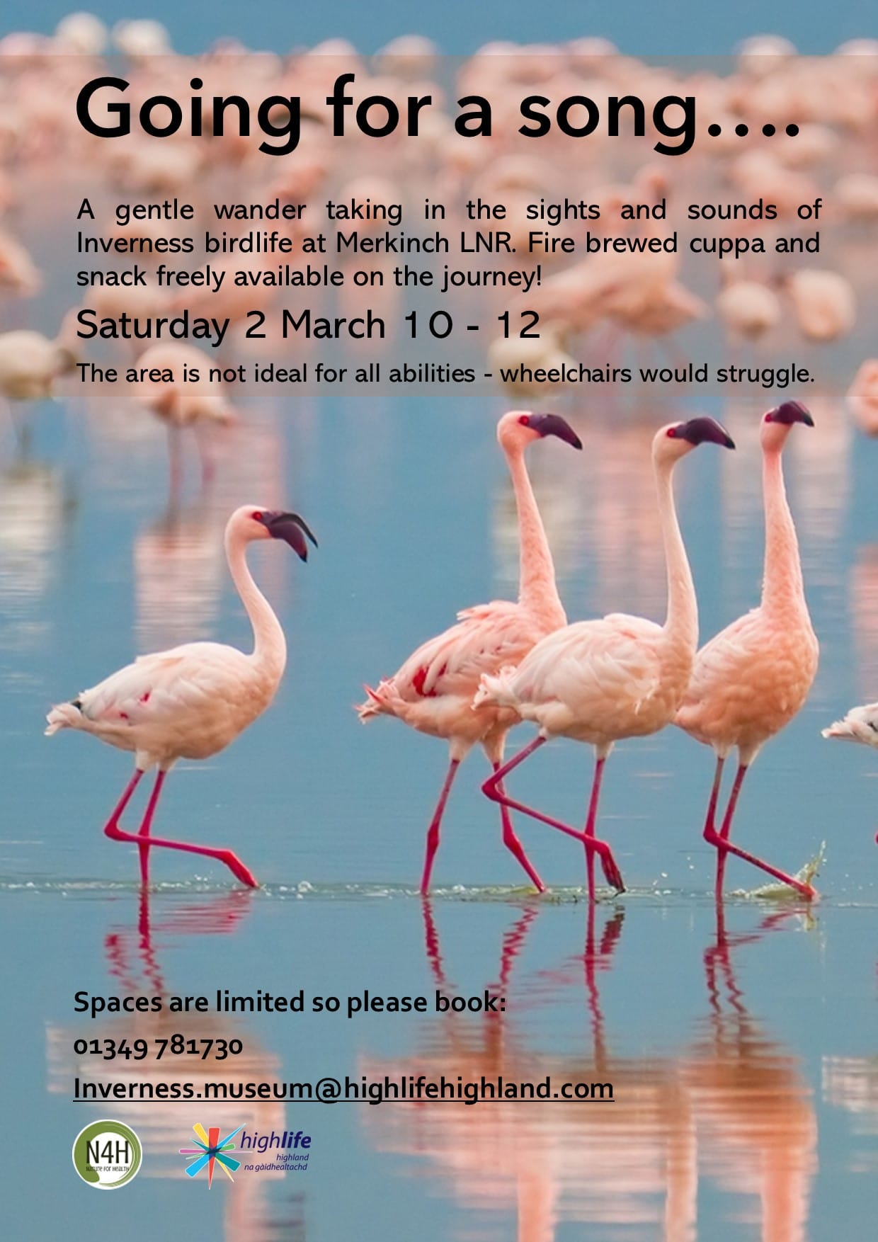 details of bird walk in Merkinch 2nd March
