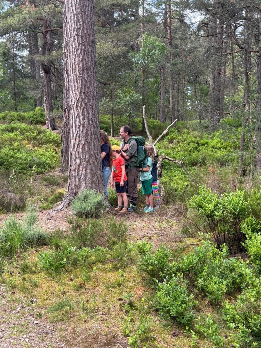 learning about trees