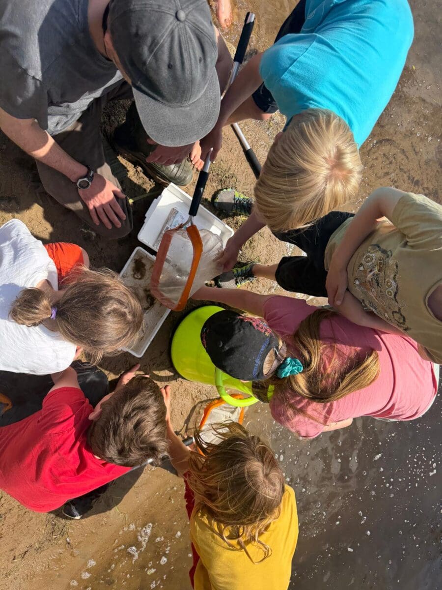 Kids learning about pond life
