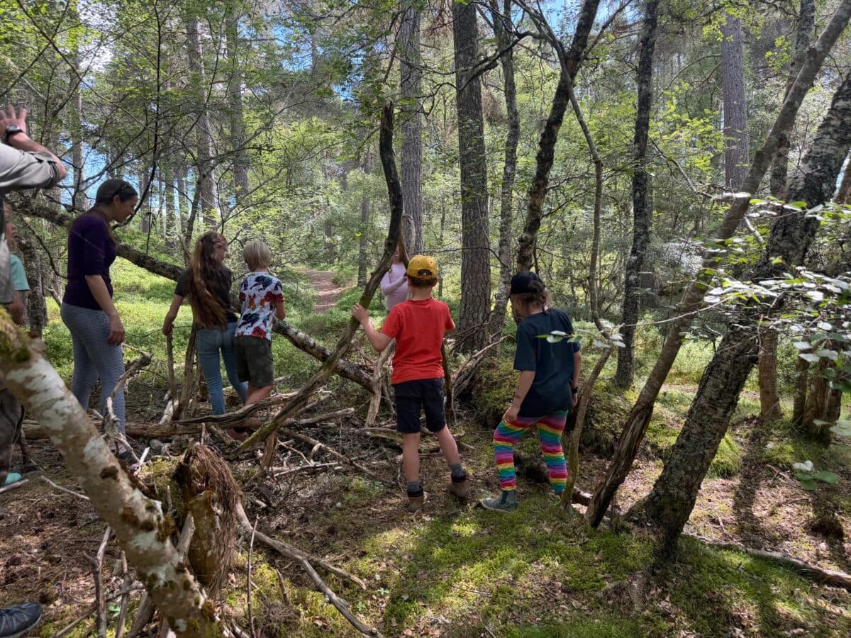 kids in the woods